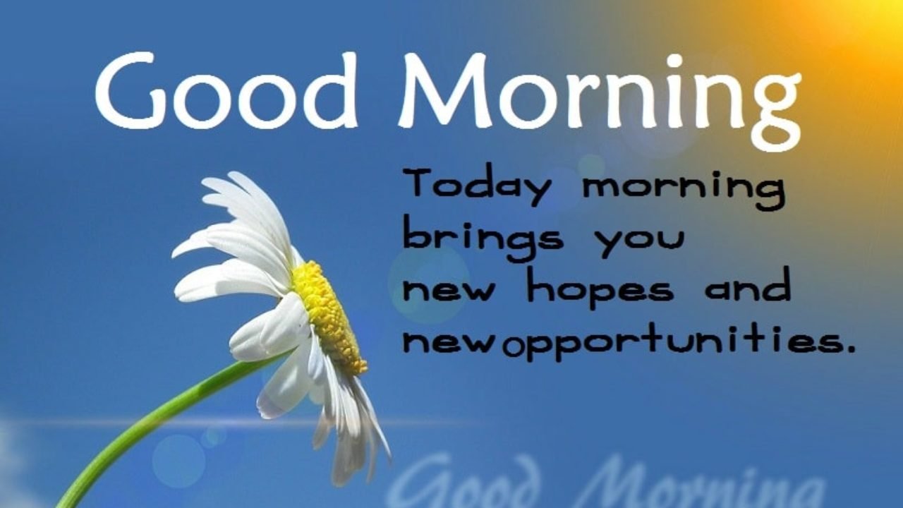 Good Morning Images Wishes, Messages, Morning Quotes, Good Morning ...