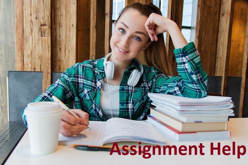 online assignment solution