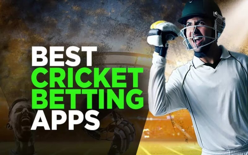 How Big Is The Cricket Betting App Market In India